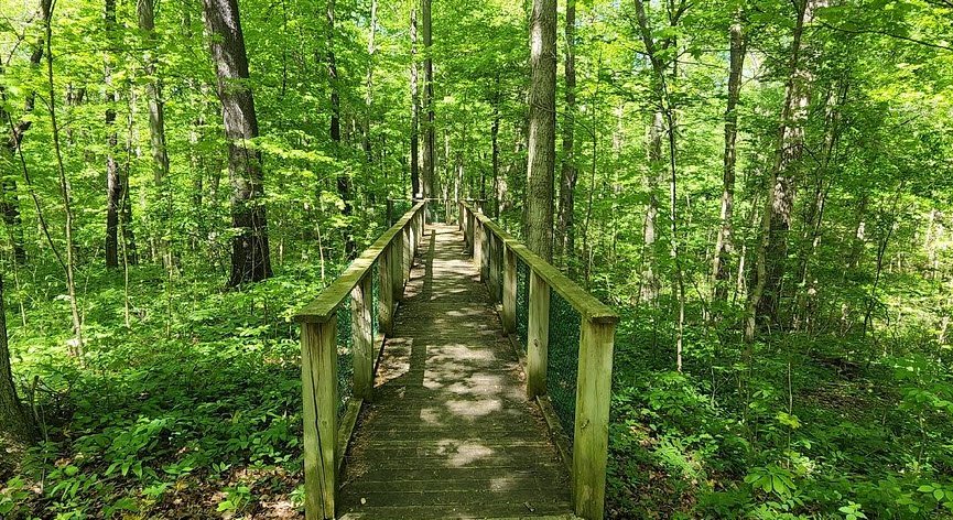 Hayes Arboretum, United States